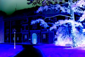 Altes Schloss Laxenburger Kulturlichtspiele