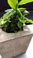 Blumentopf aus Beton