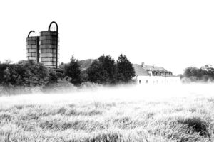 Klosterwirtschaft Laxenburg